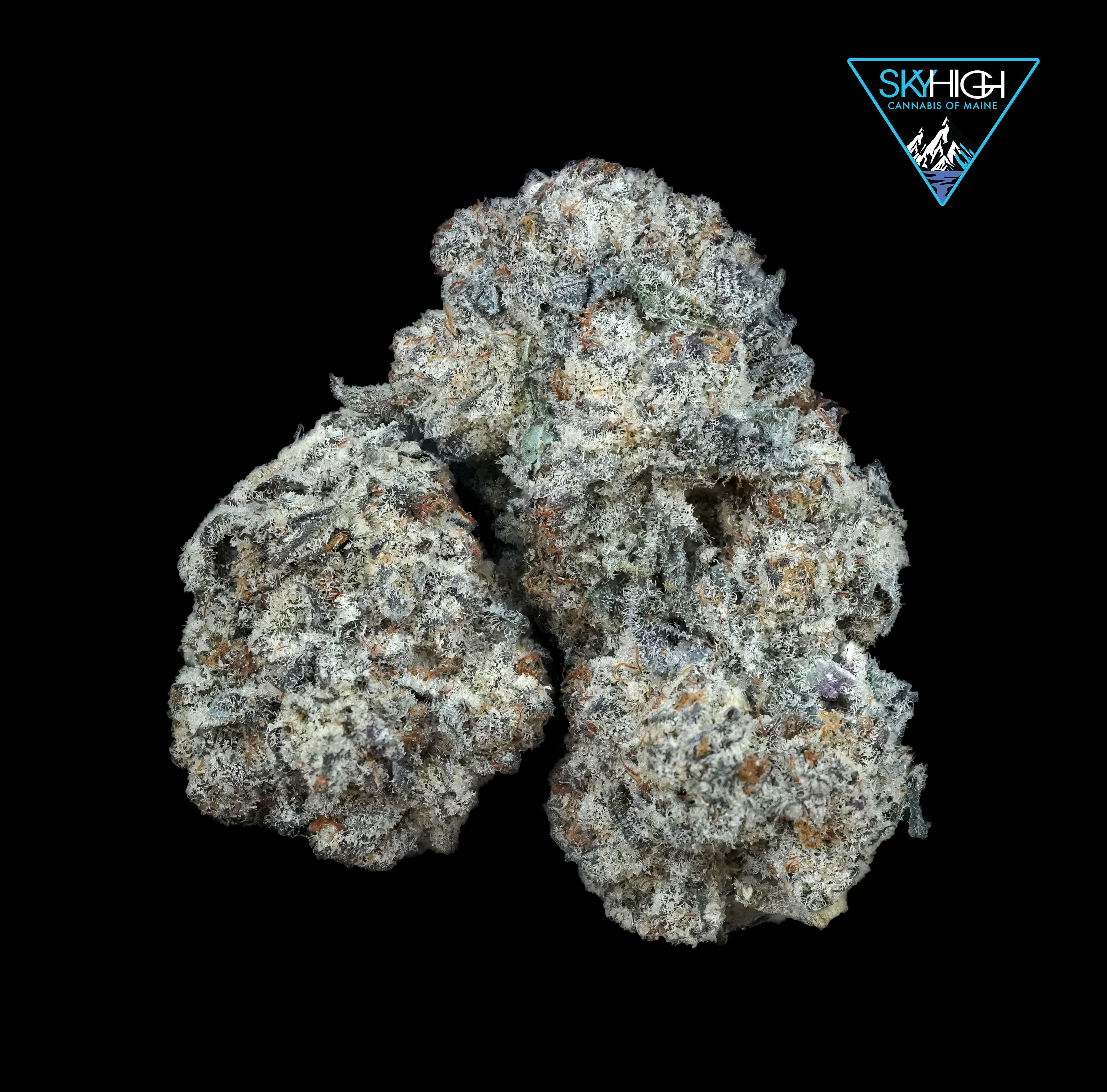 Ice Cream Cake Runtz